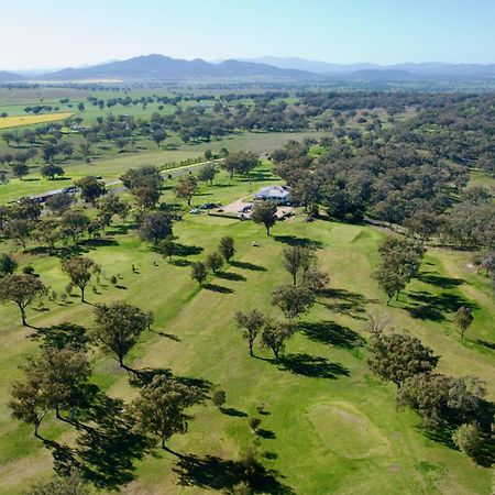 Quirindi Sunflower Motor Inn Eksteriør bilde