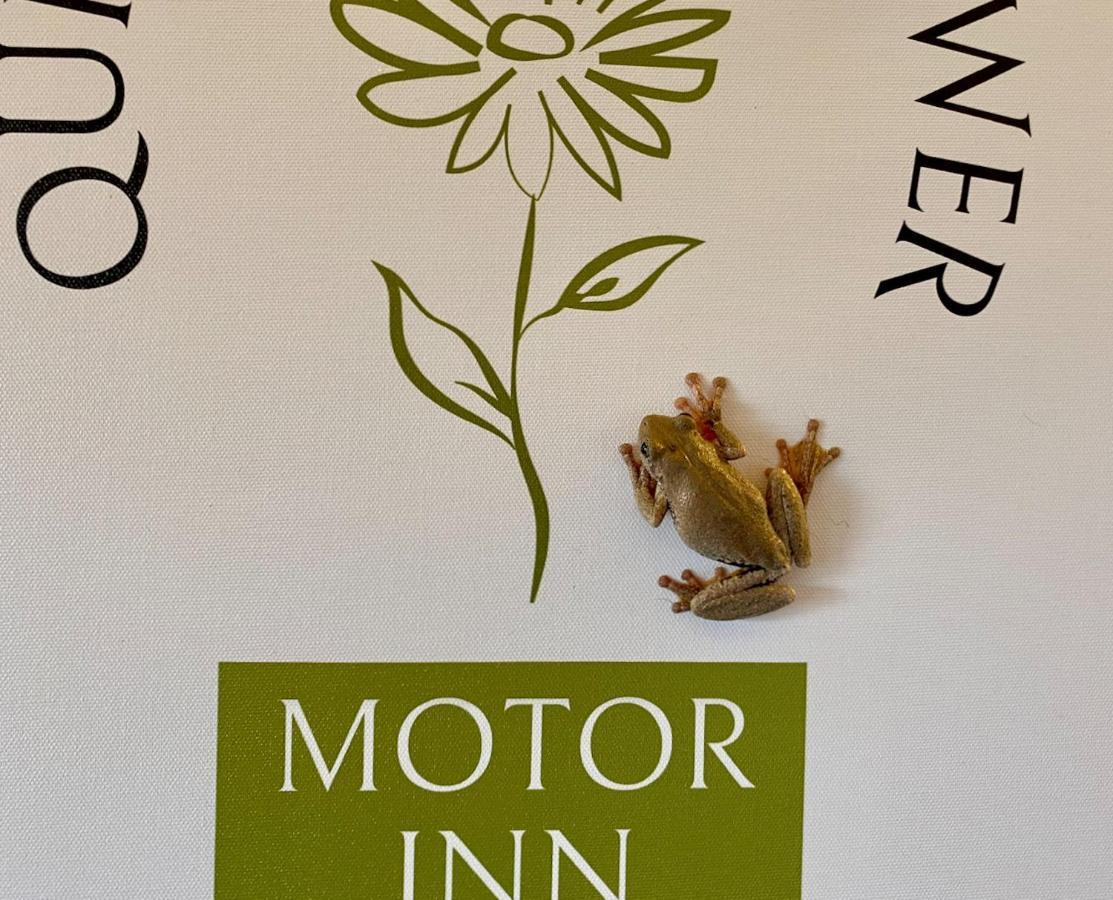Quirindi Sunflower Motor Inn Eksteriør bilde