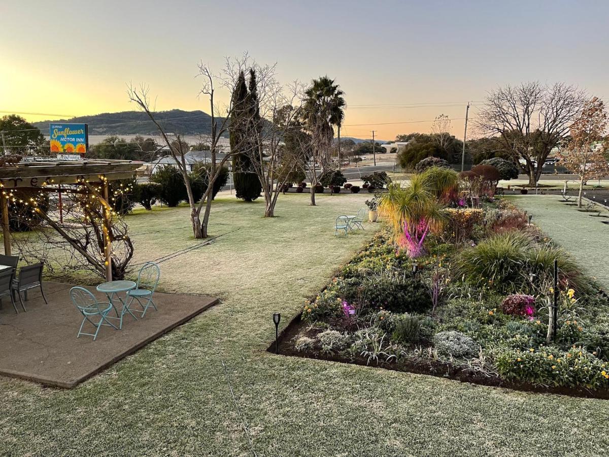 Quirindi Sunflower Motor Inn Eksteriør bilde